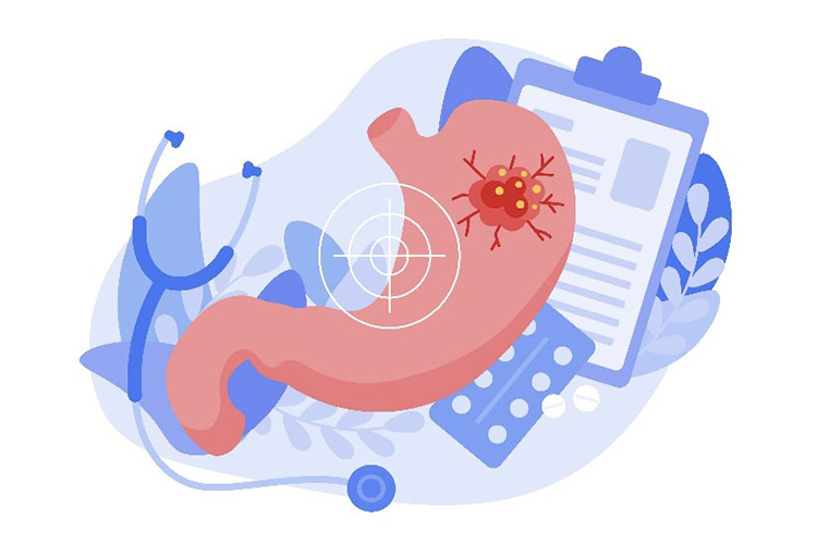 鉄代謝のイメージ