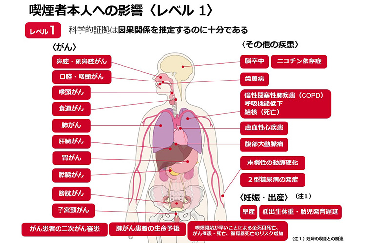 喫煙者本人への影響