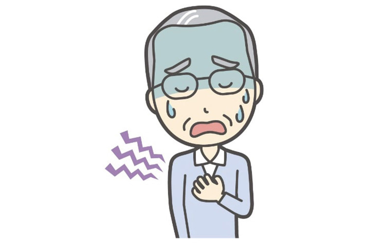 大動脈弁狭窄症の血管の断面図