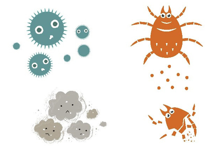 ハウスダストやダニのイメージ