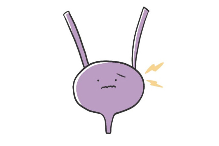 膀胱のイメージ