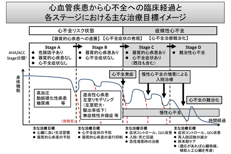 心血管疾患の医療提供体制のイメージ