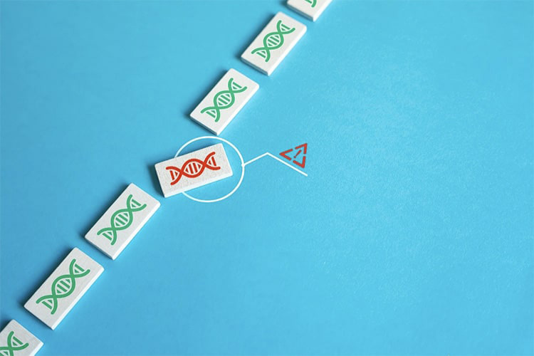 脂質異常症になりやすい生活習慣のイメージ