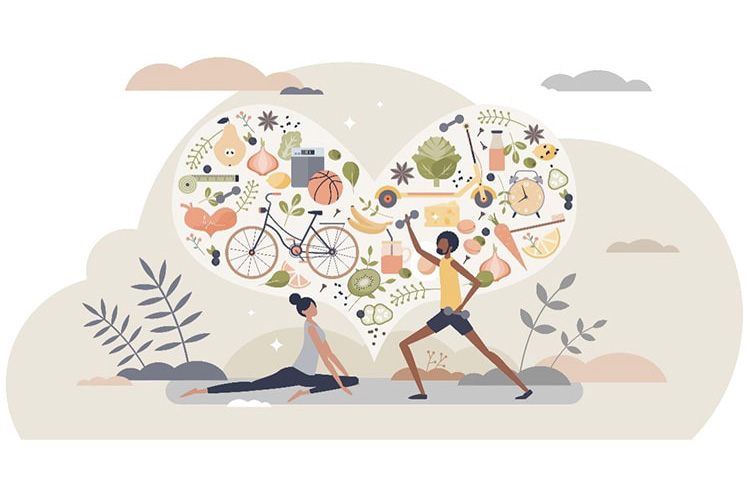 遺伝的要素のイメージ