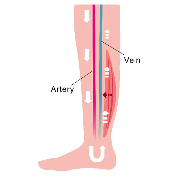 筋力低下による浮腫